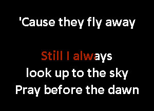 'Cause they fly away

Still I always
look up to the sky
Pray before the dawn