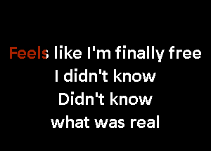 Feels like I'm finally free

I didn't know
Didn't know
what was real