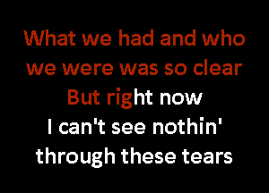 What we had and who
we were was so clear
But right now
I can't see nothin'
through these tears