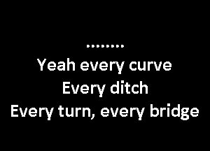 Yeah every curve

Every ditch
Every turn, every bridge