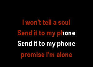I won't tell a soul
Send it to my phone

Send it to my phone

promise I'm alone
