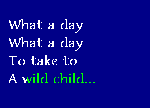 What a day
What a day

To take to
A wild child...