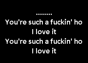 You're such a fuckin' ho

I love it
You're such a fuckin' ho
I love it