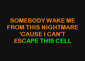 SOMEBODY WAKE ME
FROM THIS NIGHTMARE
'CAUSE I CAN'T
ESCAPETHIS CELL