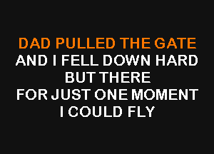 DAD PULLED THE GATE
AND I FELL DOWN HARD
BUT THERE
FOR JUST ONE MOMENT
I COULD FLY