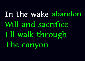 In the wake abandon
Will and sacrifice

I'll walk through
The canyon