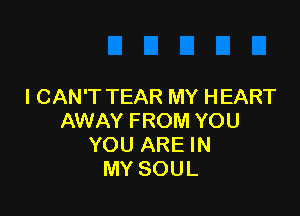 I CAN'T TEAR MY HEART

AWAY FROM YOU
YOU ARE IN
MY SOUL