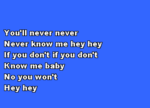 You'll never never
Never know me hey hey

If you don't if you don't
Know me baby

No you won't

Hey hey