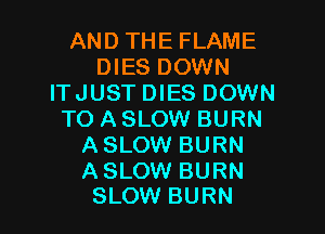 AND THE FLAME
DIES DOWN
ITJUST DIES DOWN
TO ASLOW BURN
ASLOW BURN
ASLOW BURN

SLOW BURN l