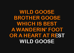 WILD GOOSE
BROTHER GOOSE
WHICH IS BEST
AWANDERIN' FOOT
OR A HEART AT REST
WILD GOOSE