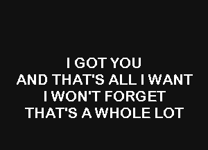 I GOT YOU

AND THAT'S ALL I WANT
IWON'T FORGET
THAT'S A WHOLE LOT