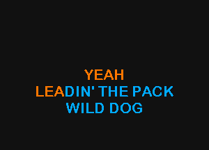 YEAH

LEADIN' THE PACK
WILD DOG