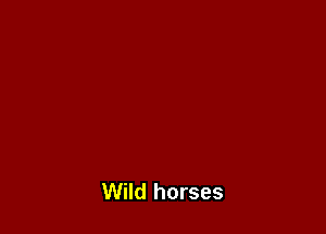 Wild horses