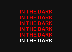 IN THE DARK