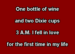 One bottle of wine

and two Dixie cups

3 AM. I fell in love

for the first time in my life