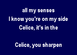all my senses
I know you're on my side
Celice, it's in the

Celice, you sharpen