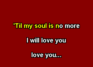 'Til my soul is no more

I will love you

love you...