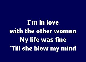 I'm in love

with the other woman
My life was fine
'11 she blew my mind