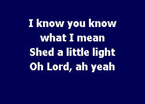 I know you know
what I mean

Shed a little light
Oh Lord, ah yeah