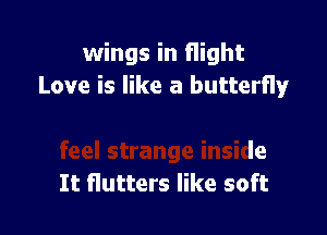 wings in flight

we makes your heart
feel strange inside

It flutters like soft I