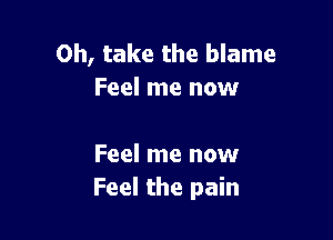 0h, take the blame
Feel me now

Feel me now
Feel the pain