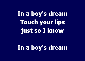In a boy's dream
Touch your lips

just so I know

In a boy's dream