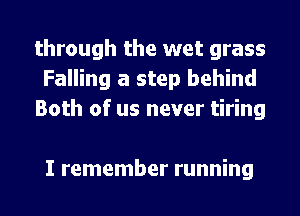through the wet grass
Falling a step behind
Both of us never tiring

I remember running