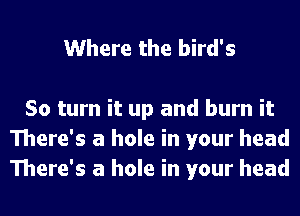 Where the bird's

50 turn it up and burn it
There's a hole in your head
There's a hole in your head