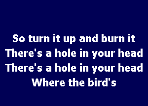 50 turn it up and burn it
There's a hole in your head
There's a hole in your head

Where the bird's