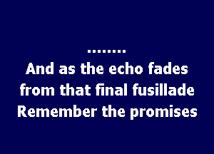 And as the echo fades
from that final fusillade
Remember the promises
