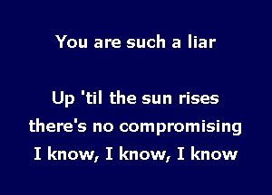 You are such a liar

Up 'til the sun rises

there's no compromising
I know, I know, I know