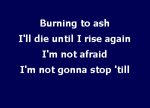 Burning to ash
I'll die until I rise again
I'm not afraid

I'm not gonna stop 'till