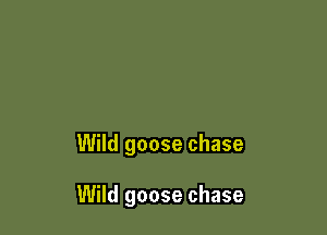 Wild goose chase

Wild goose chase