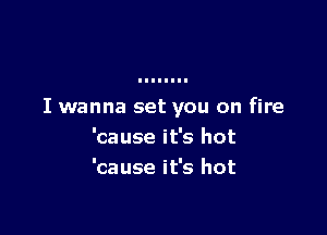 I wanna set you on fire

'cause it's hot
'cause it's hot