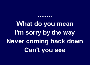 What do you mean

I'm sorry by the way
Never coming back down
Can't you see