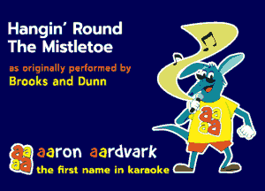 Hangin' Round
The Mistletoe

Brooks and Dunn

g the first name in karaoke