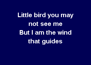 Little bird you may
not see me

But I am the wind
that guides