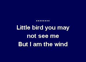 Little bird you may

not see me
But I am the wind