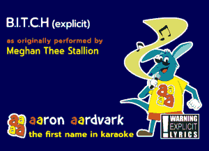 B.I.T.CH (explicit)

Meghan Thee Stallion

g aron ardvark
(he first name in karaoke