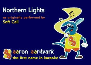 Northern Lights

g the first name in karaoke