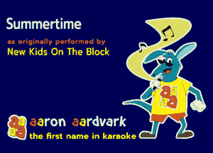 Summertime

New Kids On Ihe Block

g the first name in karaoke