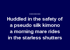 Huddled in the safety of
a pseudo silk kimono
a morning mare rides

in the starless shutters