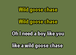 Wild goose chase

Wild goose chase

Oh I need a boy like you

like a wild goose chase