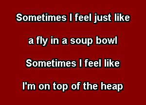 Sometimes I feel just like
a fly in a soup bowl

Sometimes I feel like

I'm on top of the heap