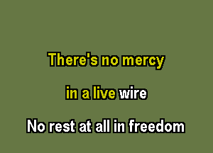 There's no mercy

in a live wire

No rest at all in freedom