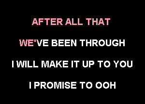 AFTER ALL THAT

WE'VE BEEN THROUGH

I WILL MAKE IT UP TO YOU

I PROMISE T0 00H