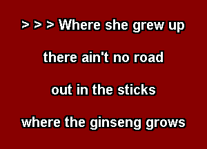 .5 D Where she grew up
there ain't no road

out in the sticks

where the ginseng grows