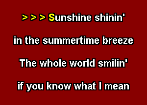 Sunshine shinin'
in the summertime breeze
The whole world smilin'

if you know what I mean
