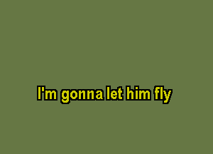 I'm gonna let him fly