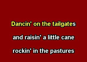 Dancin' on the tailgates

and raisin' a little cane

rockin' in the pastures